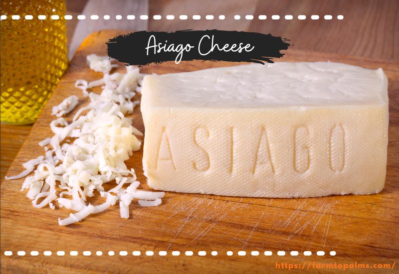 Different Types Of Cheese Asiago Cheese