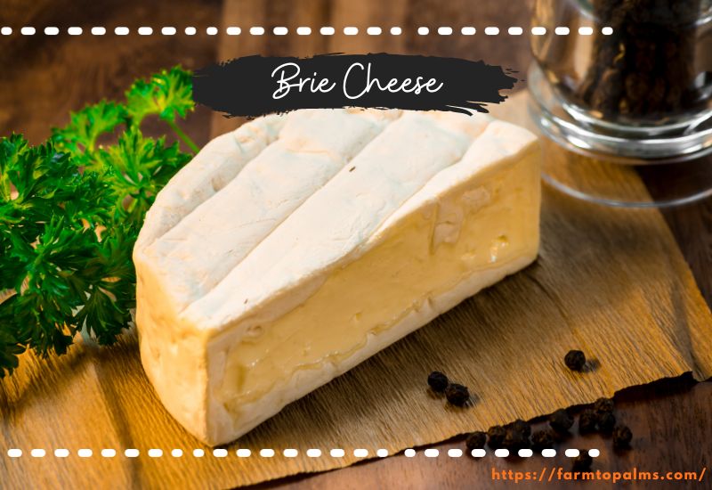 Different Types Of Cheese Brie Cheese