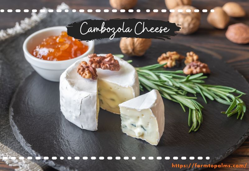 Different Types Of Cheese Cambozola Cheese