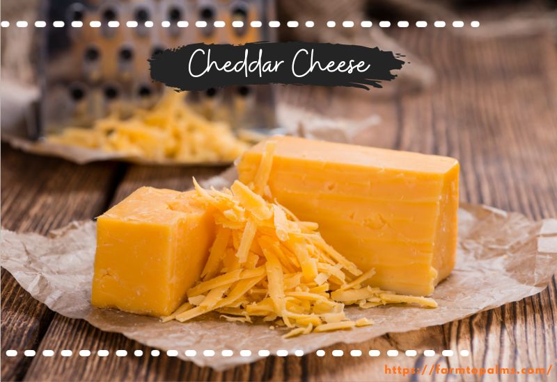 Different Types Of Cheese Cheddar Cheese