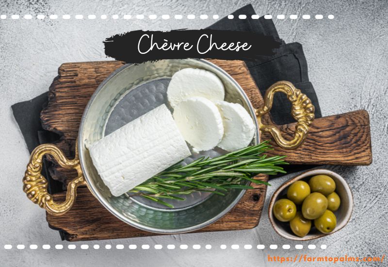 Different Types Of Cheese Chevre Cheese