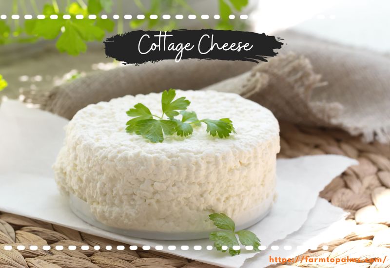 Different Types Of Cheese Cottage Cheese