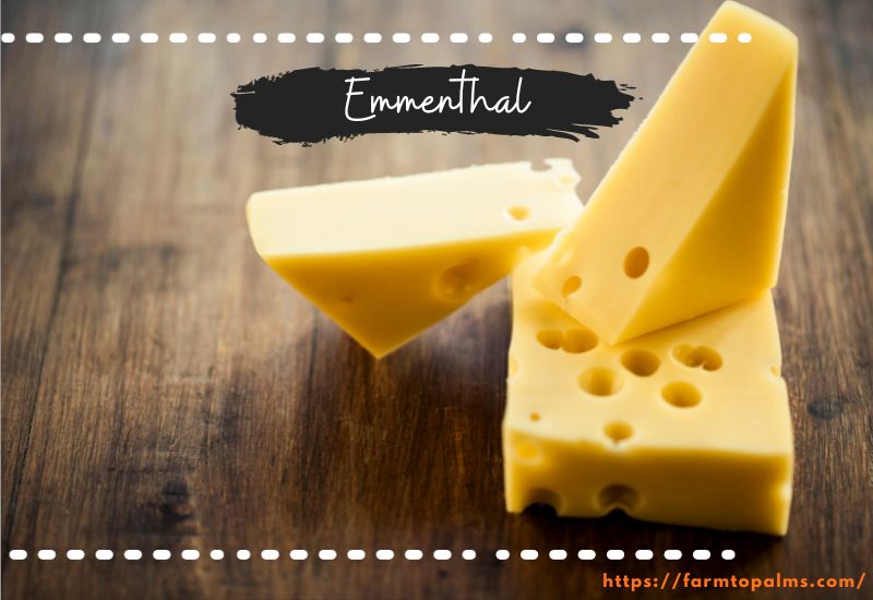 Different Types Of Cheese Emmenthal