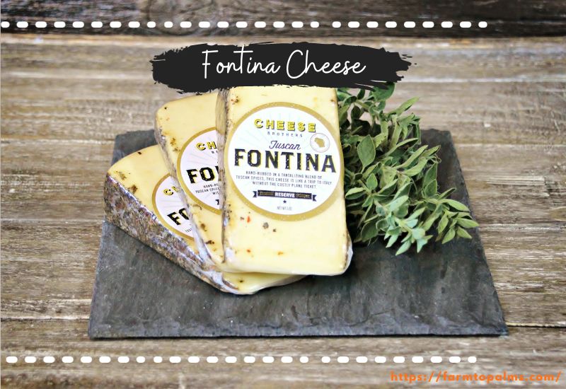 Different Types Of Cheese Fontina Cheese