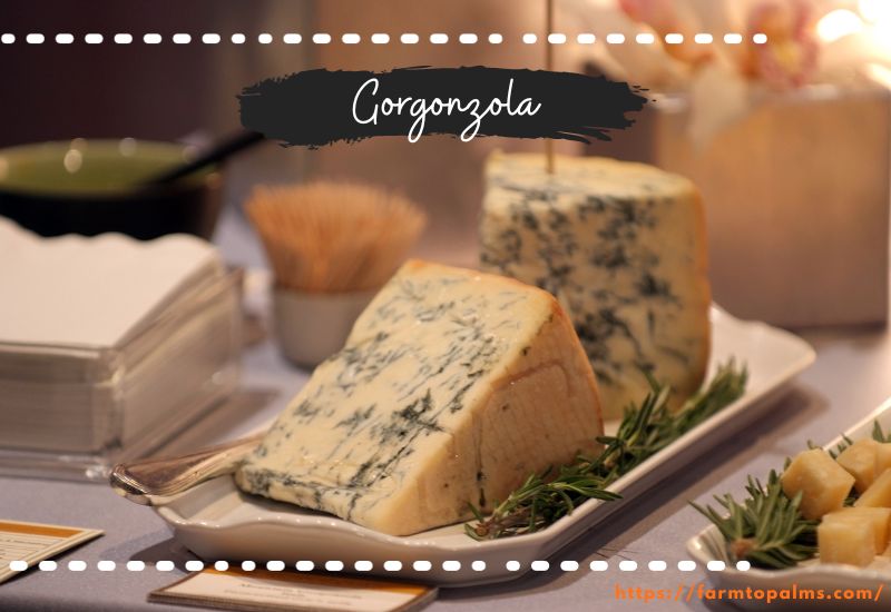 Different Types Of Cheese Gorgonzola
