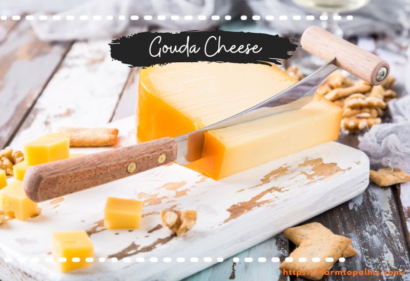 Different Types Of Cheese Gouda Cheese