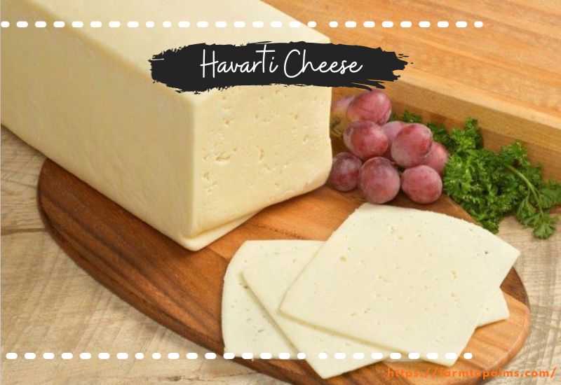 Different Types Of Cheese Havarti Cheese