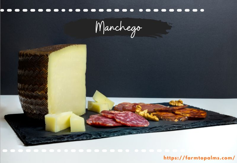 Different Types Of Cheese Manchego
