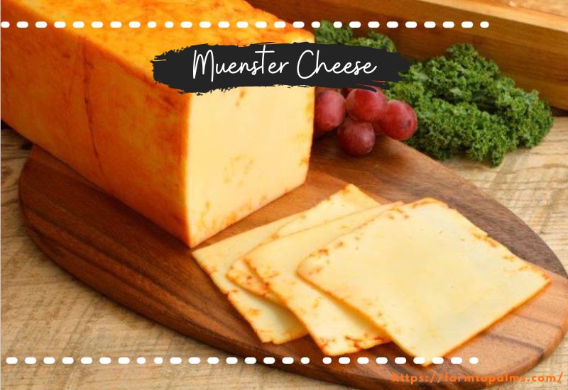 Different Types Of Cheese Muenster Cheese