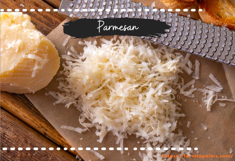 Different Types Of Cheese Parmesan