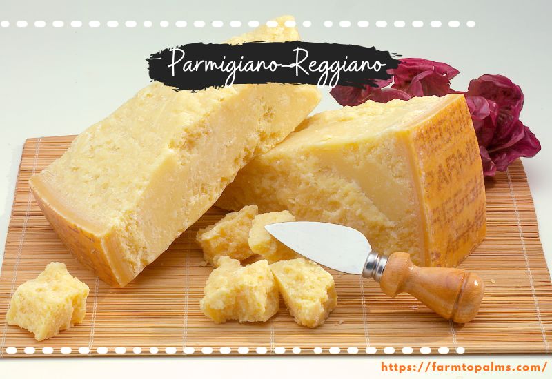 Different Types Of Cheese Parmigiano Reggiano