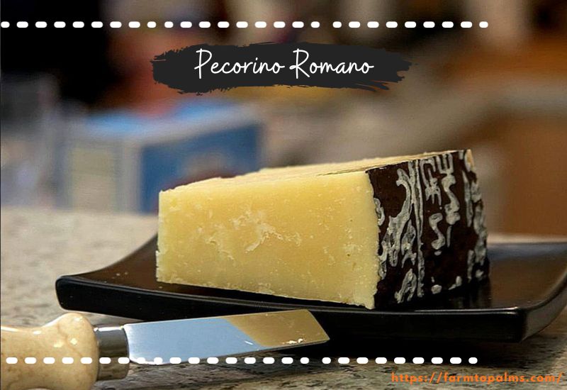 Different Types Of Cheese Pecorino Romano