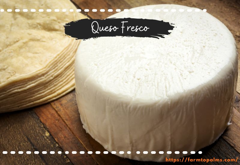 Different Types Of Cheese Queso Fresco