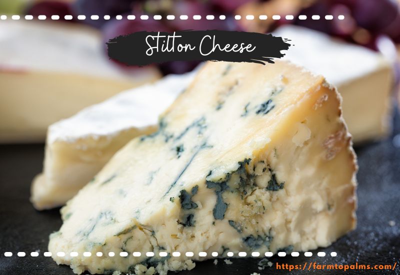 Different Types Of Cheese Stilton Cheese
