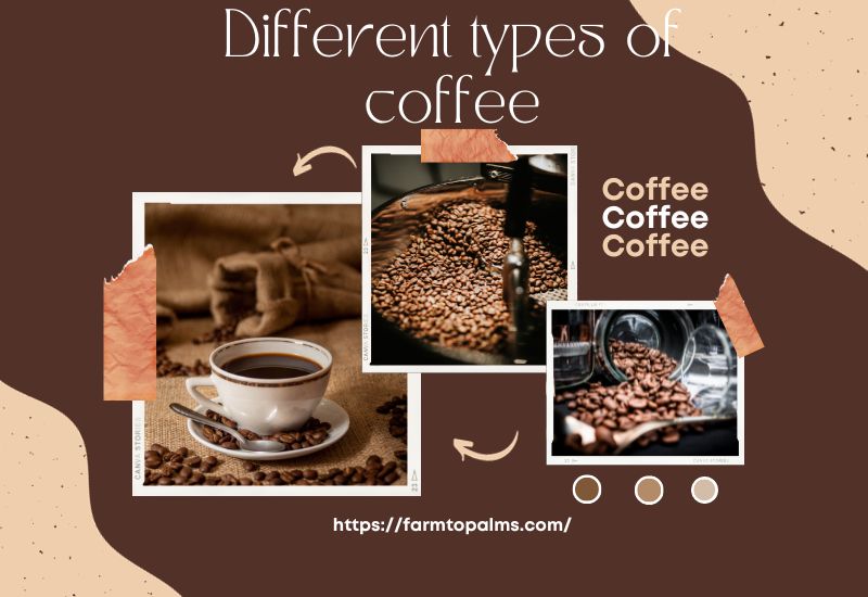 Different Types Of Coffee