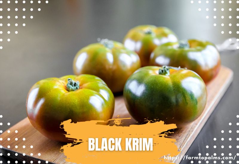 Types Of Tomatoes Black Krim