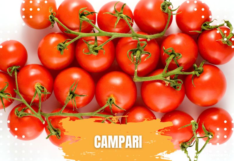 Types Of Tomatoes Campari Tomatoes