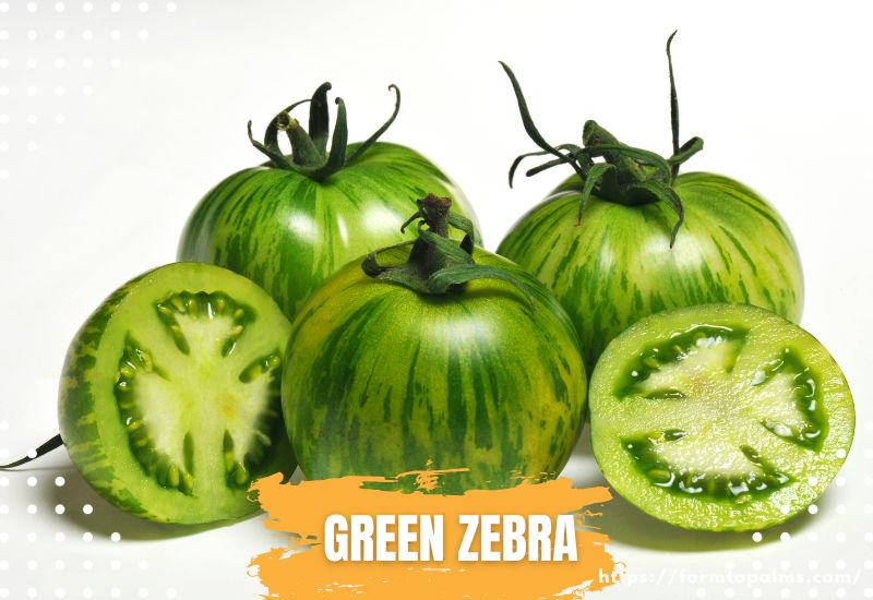 Types Of Tomatoes Green Zebra