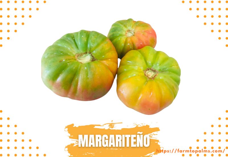Types Of Tomatoes Margariteno