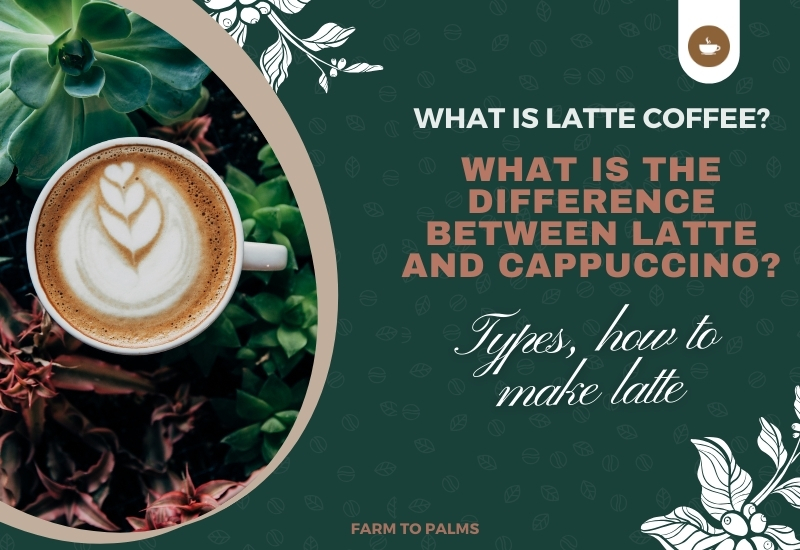 What Is Cafe Latte
