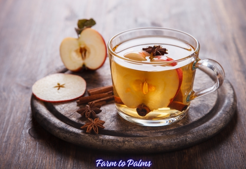 Apple Cider Vinegar Stimulates Intestinal Motility