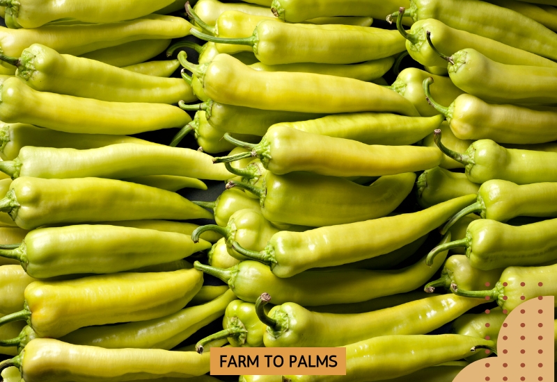 Are Banana Peppers Healthy