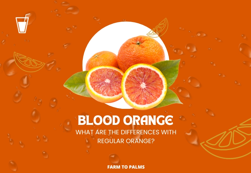 Blood Orange What Are The Differences With Regular Orange