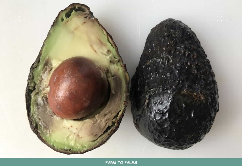 Can An Avocado With A Brown Tinge On The Inside Be Eaten