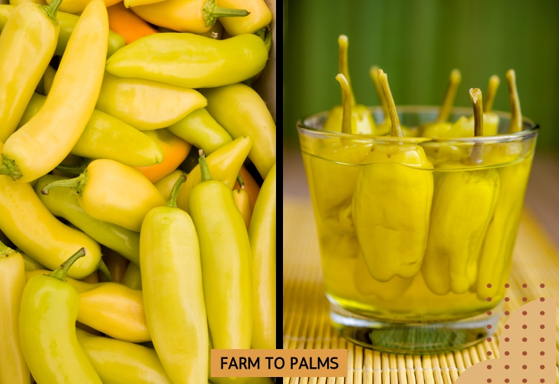 Differences Between Banana Peppers And Pepperoncini