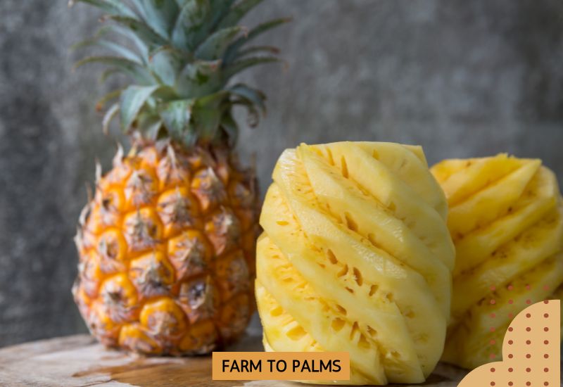 Grilled Or Sauteed Pineapple