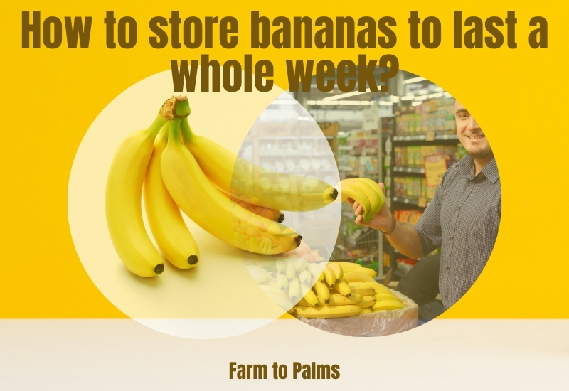 How To Store Bananas To Last A Whole Week