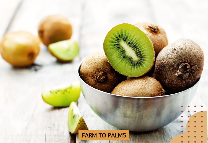 Kiwi Seeds Contain Essential Fatty Acids