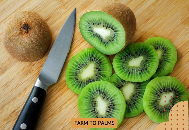 Kiwifruit Carbohydrate Availability And The Glycemic Response