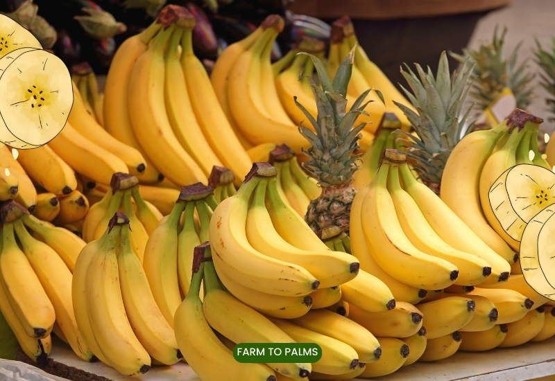 Nutritional Value Of Bananas 1