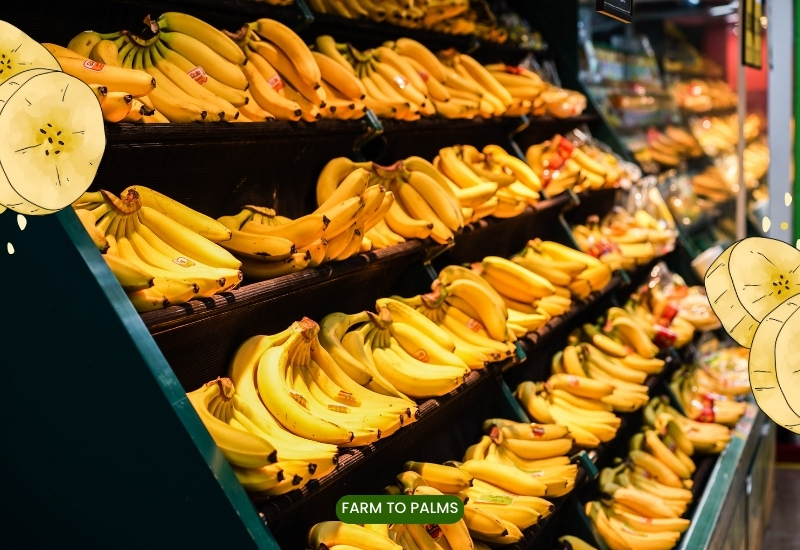 Nutritional Value Of Bananas