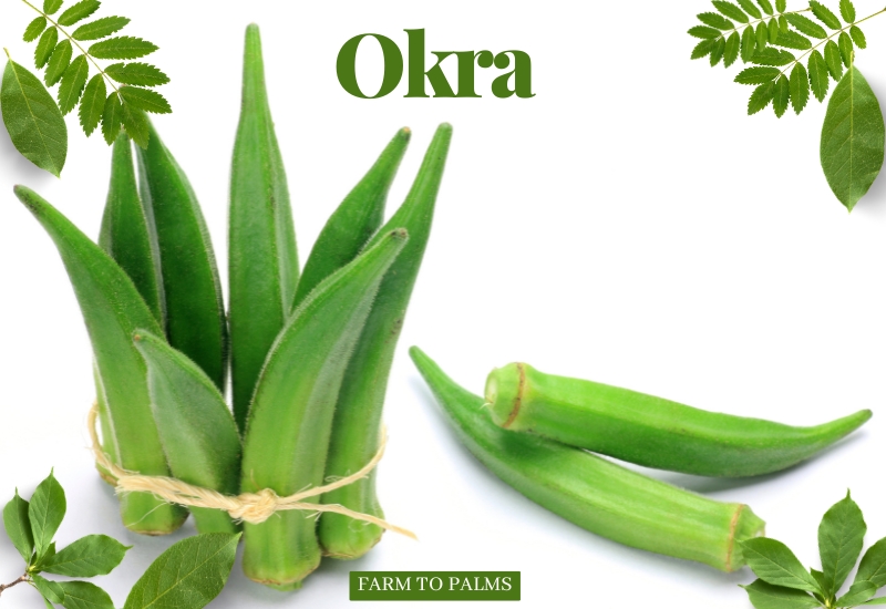 Okra Is Very Good For Health, But It Is A 'big Taboo' For The Following People