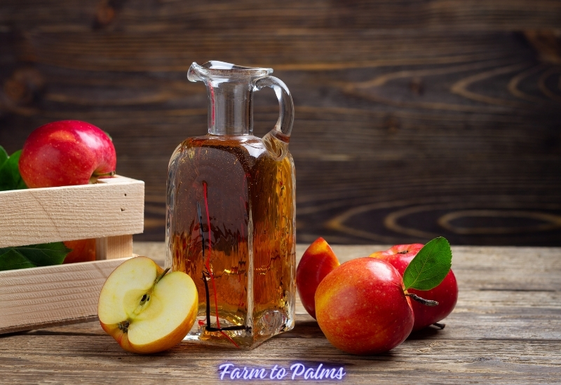 Quickly Get A Stomachache When Drinking Apple Cider Vinegar