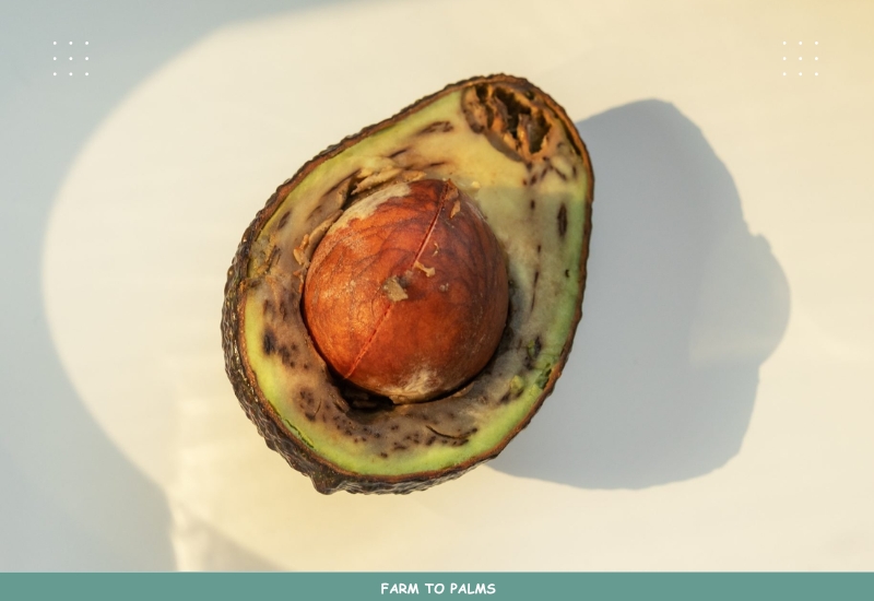 Salvaging Browned Avocado