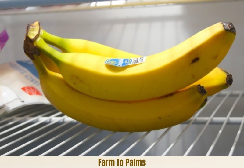 Some Notes When Storing Ripe Bananas In The Refrigerator