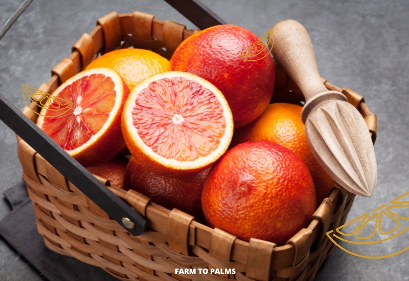 Where To Buy Blood Oranges