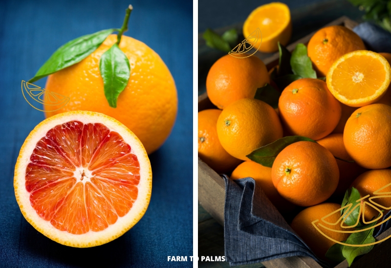 Why Do Blood Oranges Taste Different