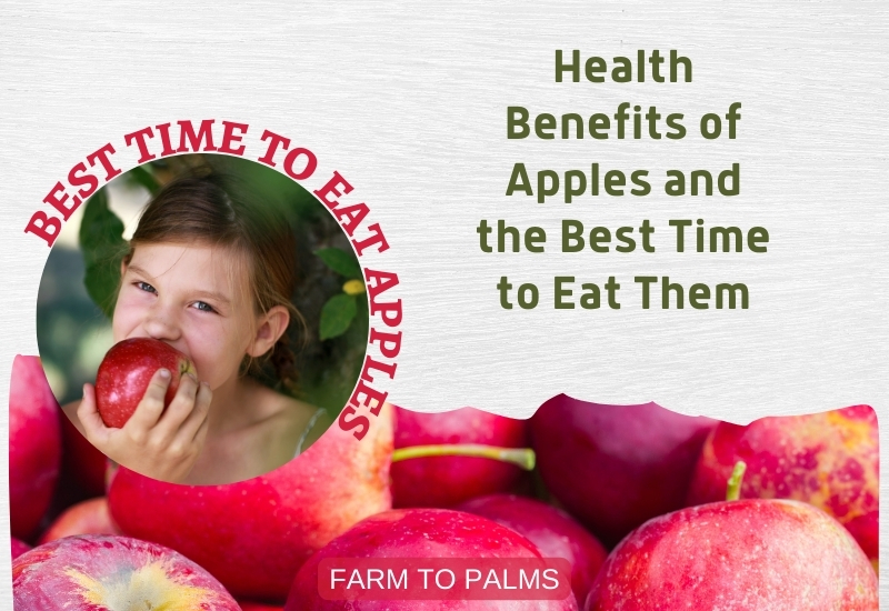 Best Time To Eat Apples