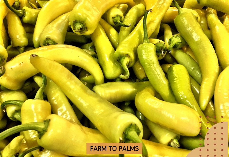 Nutritional Value Banana Peppers