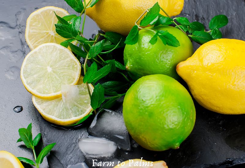 What Are Lemons And Limes