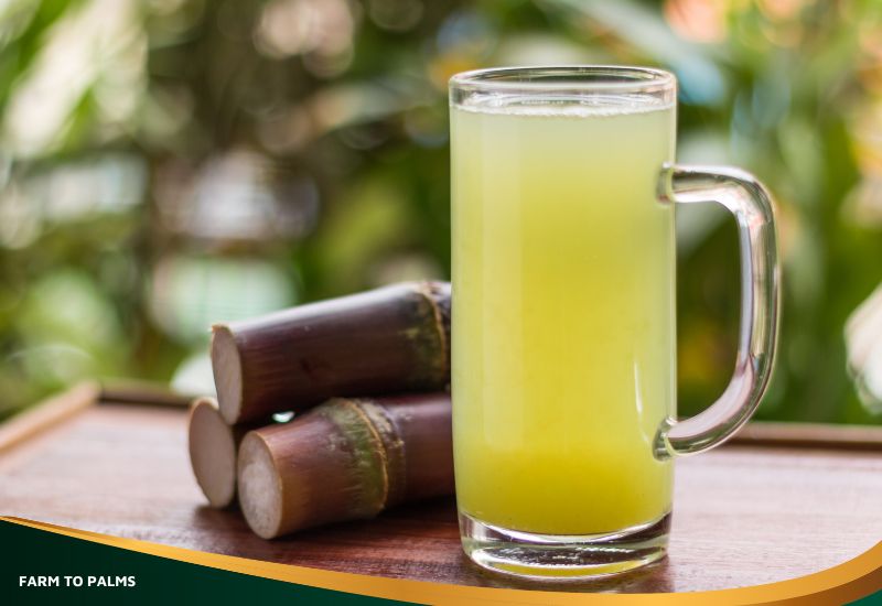 Can Drinking Sugarcane Juice Help With Weight Loss