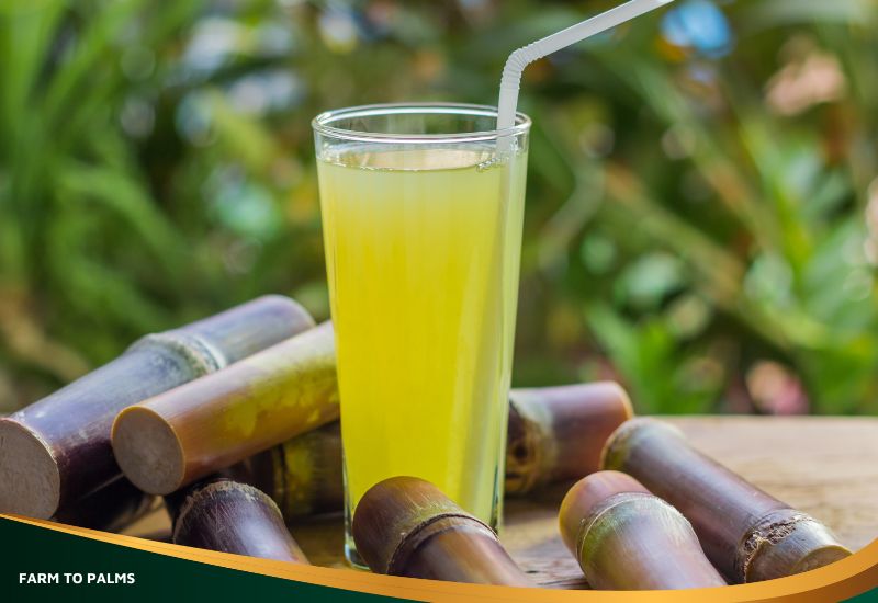 How Many Calories Are In 1 Cup Of Sugarcane Juice