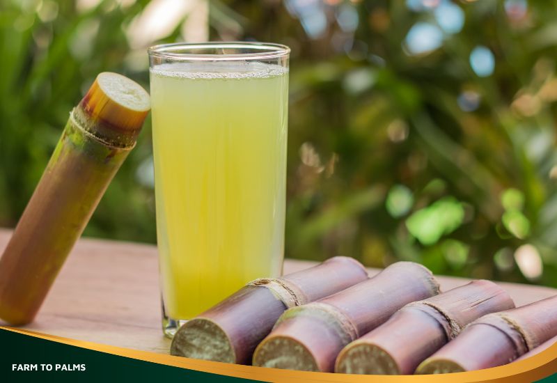 How To Drink Sugarcane Juice For Weight Loss