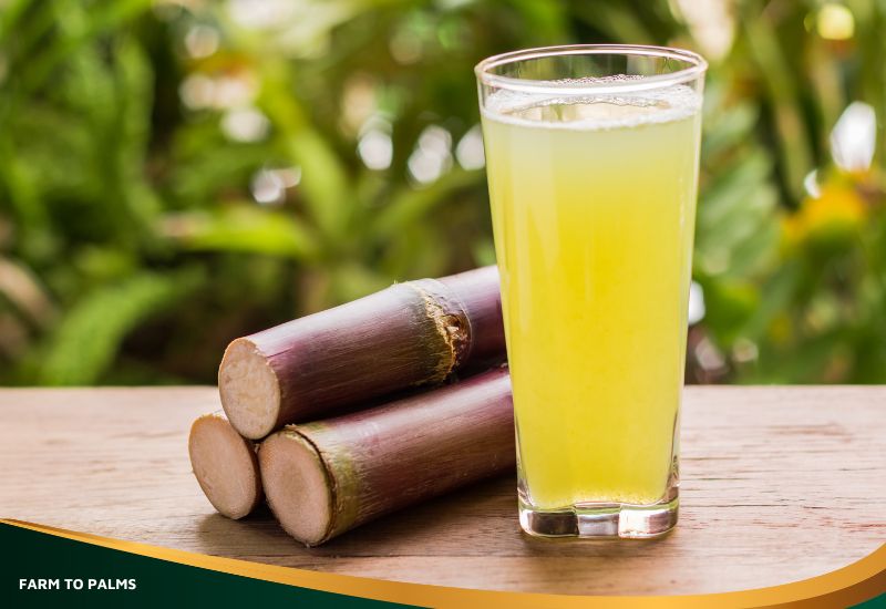 Is Sugarcane Juice Good For Weight Loss
