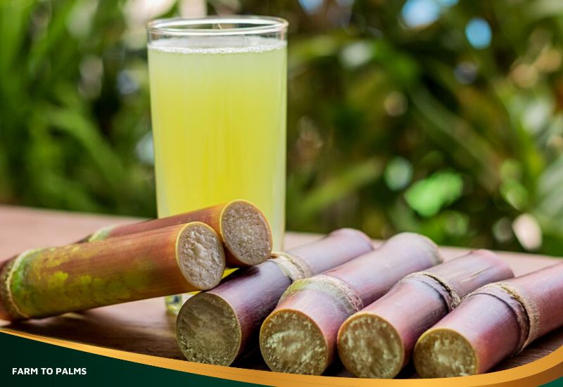 Nutritional Components Found In Sugarcane Juice