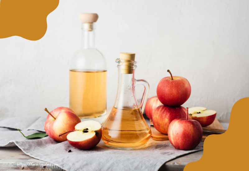 Nutritional Profile Of Apple Cider Vinegar